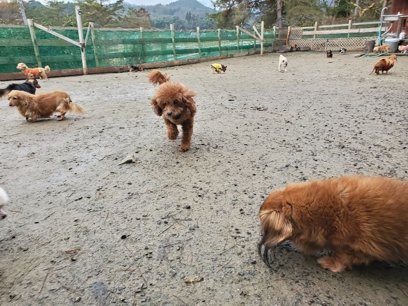 f:id:roukenhome-ann:20191224192047j:plain
