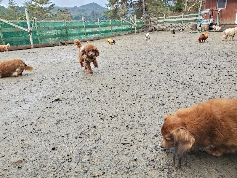 f:id:roukenhome-ann:20191224192108j:plain