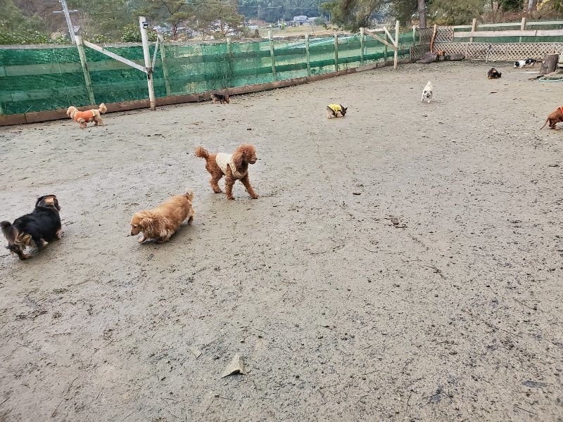 f:id:roukenhome-ann:20191224192127j:plain