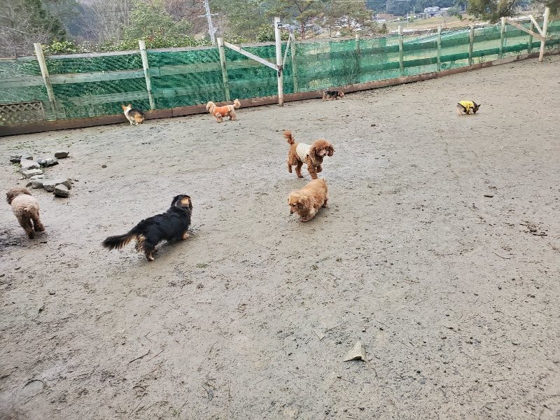 f:id:roukenhome-ann:20191224192142j:plain
