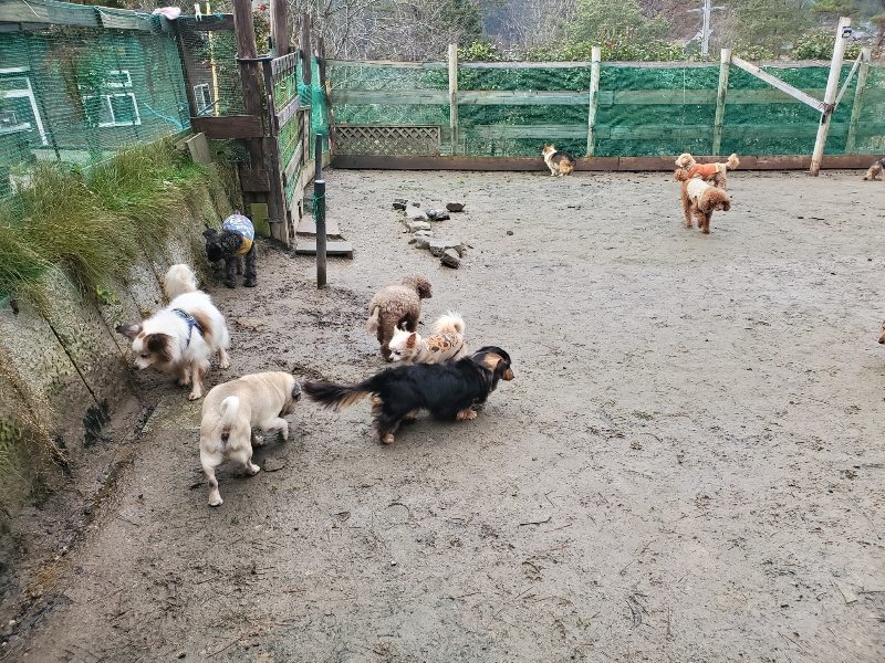 f:id:roukenhome-ann:20191224192204j:plain