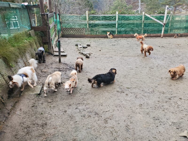f:id:roukenhome-ann:20191224192220j:plain