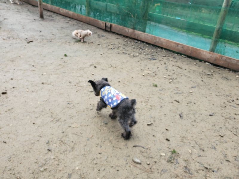 f:id:roukenhome-ann:20191224192958j:plain
