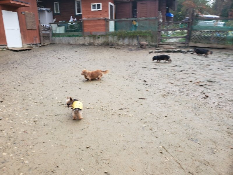 f:id:roukenhome-ann:20191224193013j:plain