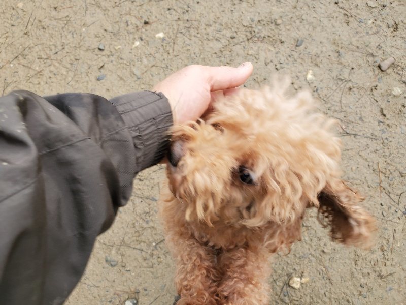 f:id:roukenhome-ann:20191224193025j:plain