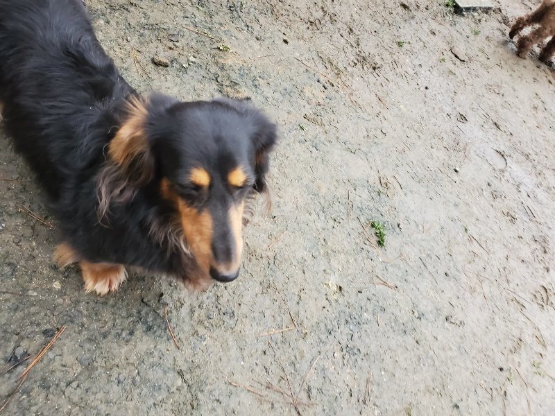 f:id:roukenhome-ann:20191224193102j:plain