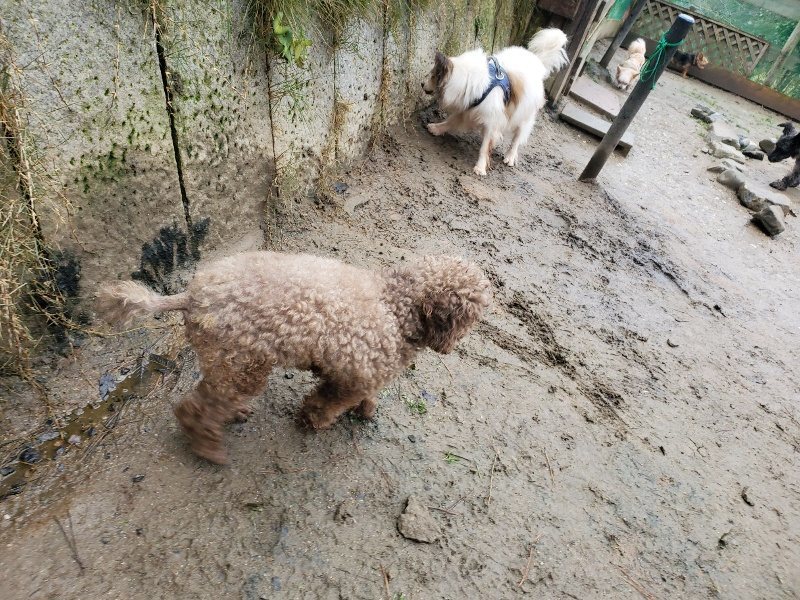 f:id:roukenhome-ann:20191224193116j:plain