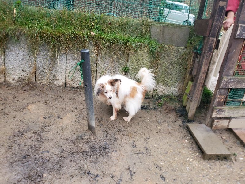 f:id:roukenhome-ann:20191224193221j:plain