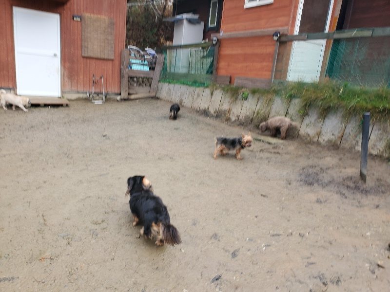 f:id:roukenhome-ann:20191224193244j:plain