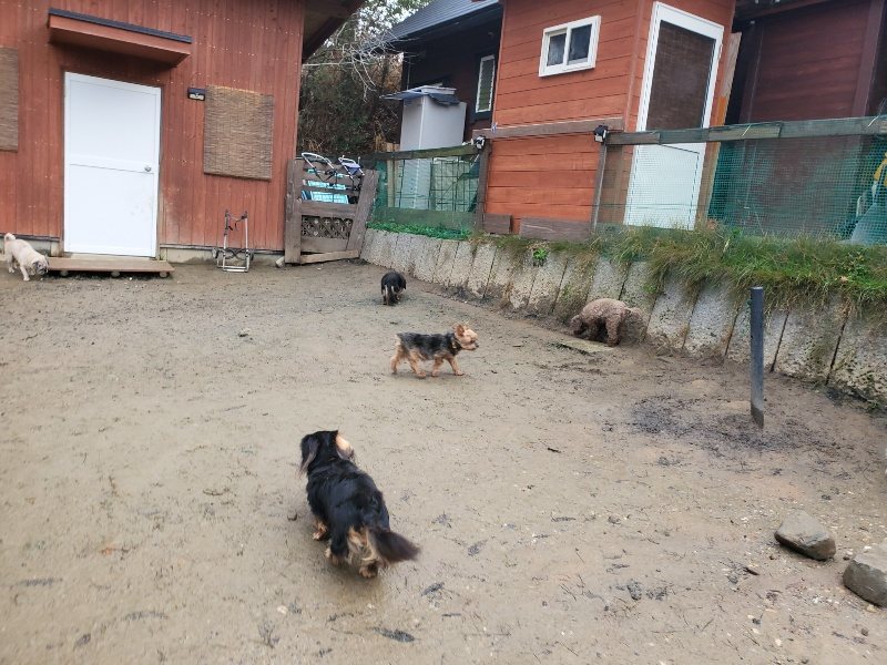 f:id:roukenhome-ann:20191224193312j:plain