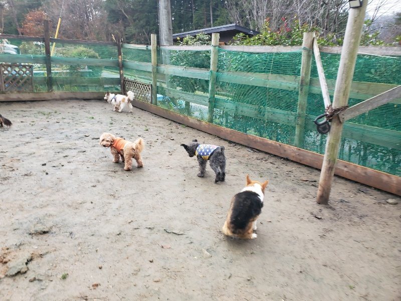 f:id:roukenhome-ann:20191224193530j:plain