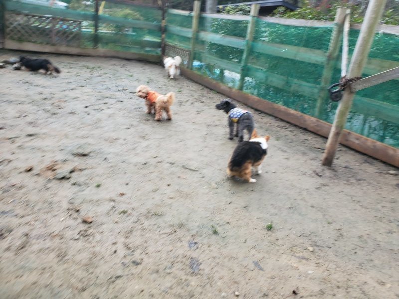 f:id:roukenhome-ann:20191224193601j:plain