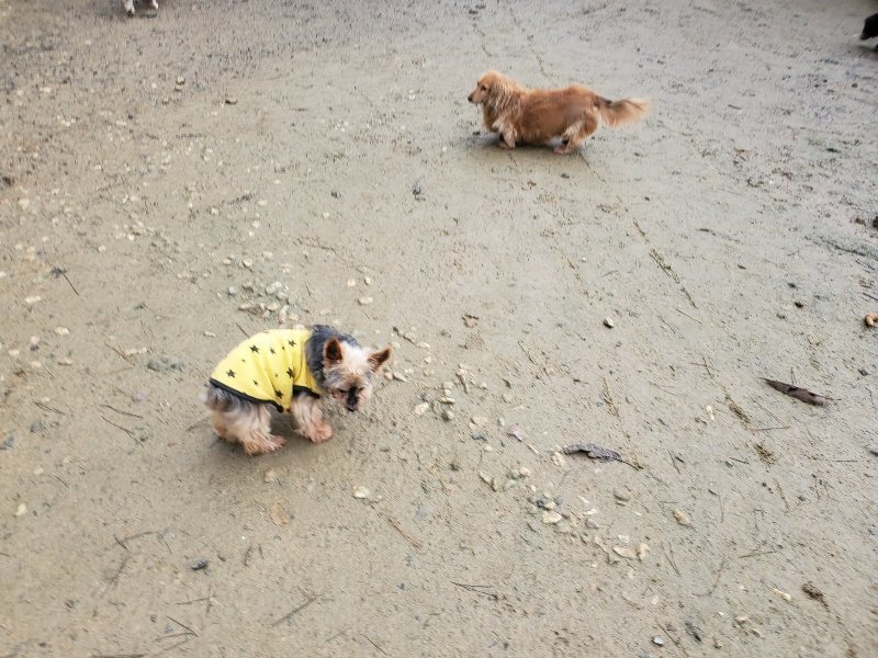f:id:roukenhome-ann:20191224193627j:plain