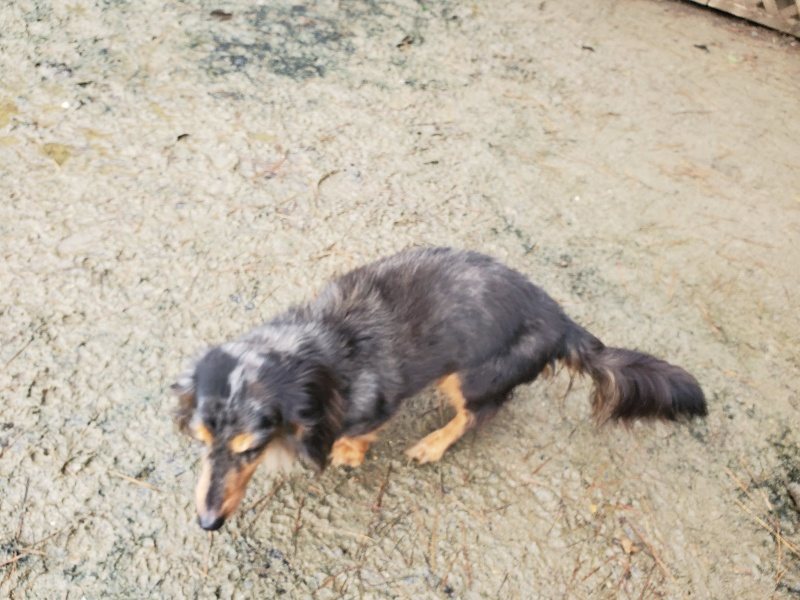 f:id:roukenhome-ann:20191224194903j:plain
