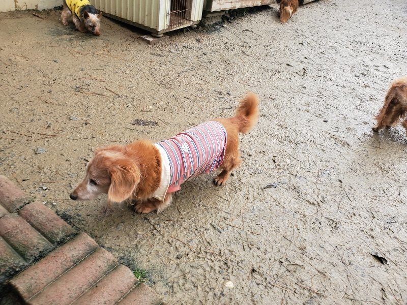 f:id:roukenhome-ann:20191224195558j:plain