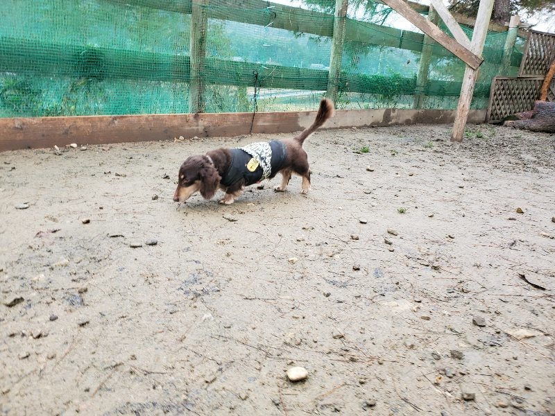 f:id:roukenhome-ann:20191224205357j:plain