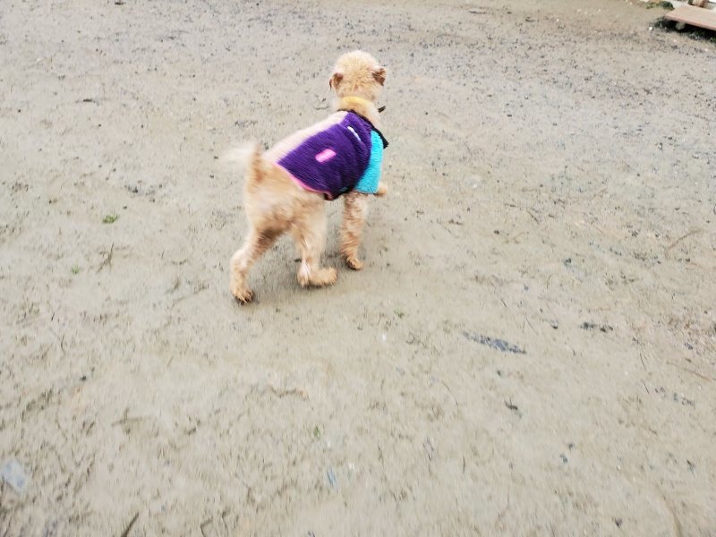 f:id:roukenhome-ann:20191224205406j:plain