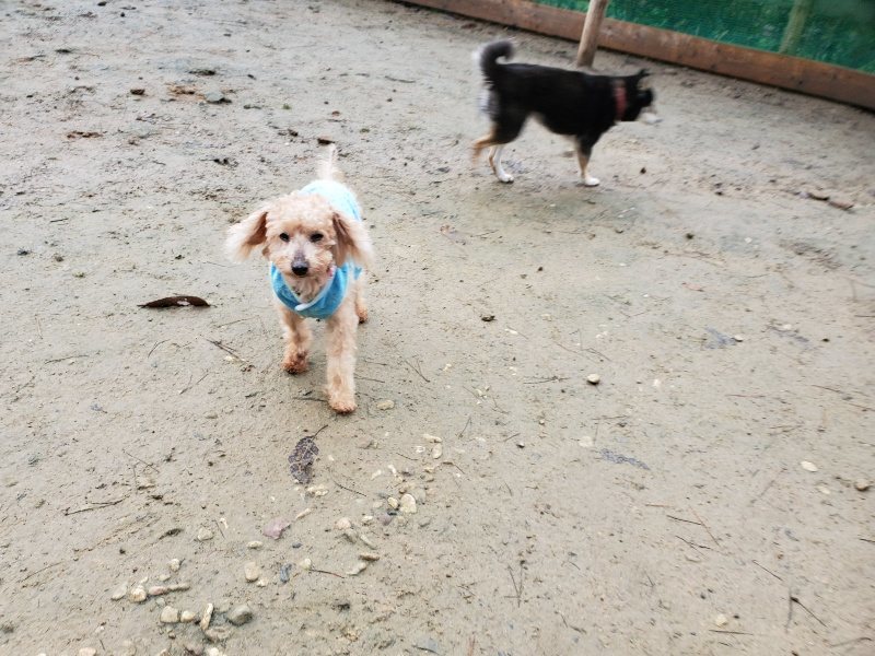 f:id:roukenhome-ann:20191224212742j:plain