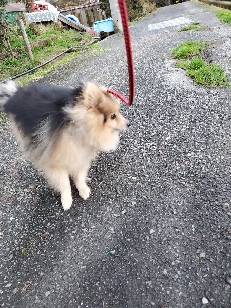 f:id:roukenhome-ann:20191227185745j:plain