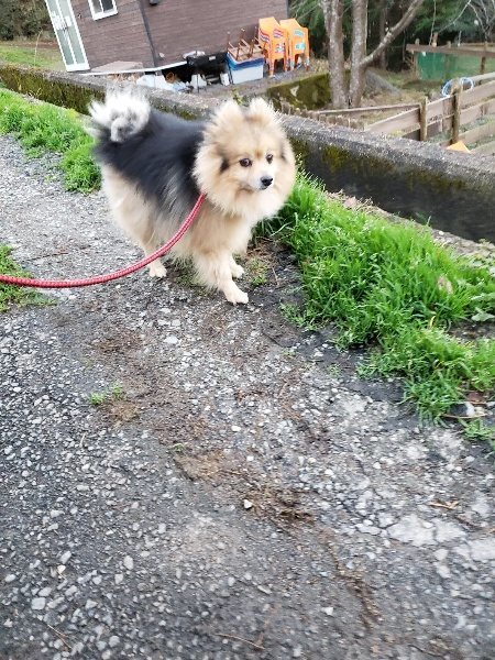f:id:roukenhome-ann:20191227185753j:plain