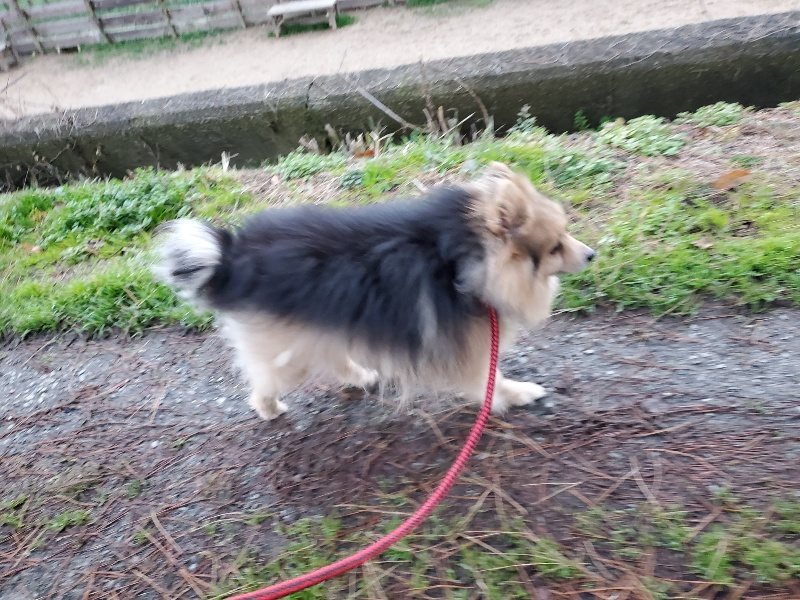 f:id:roukenhome-ann:20191227185800j:plain