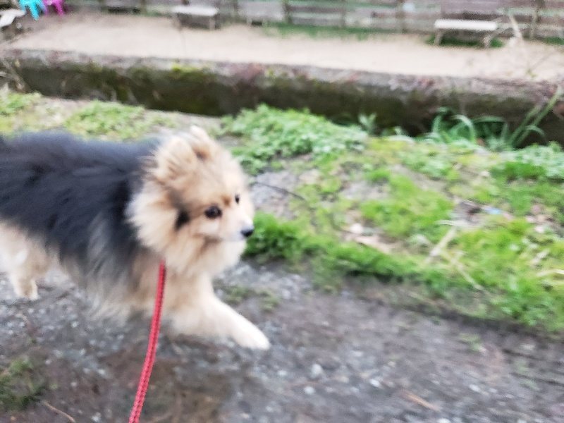 f:id:roukenhome-ann:20191227185807j:plain
