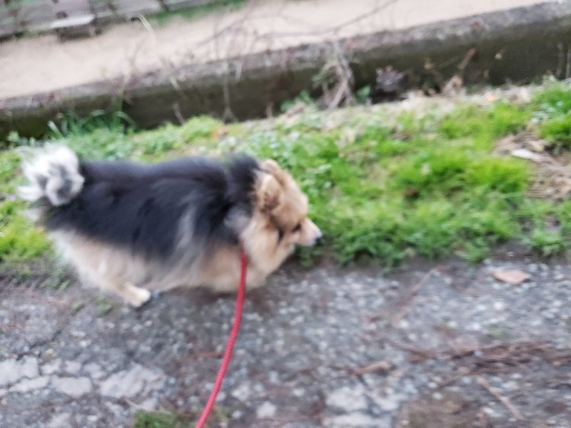 f:id:roukenhome-ann:20191227185813j:plain