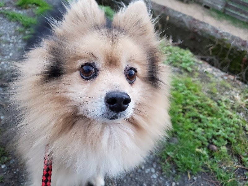 f:id:roukenhome-ann:20191227185818j:plain