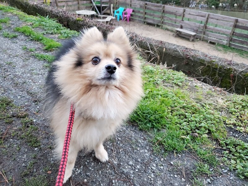 f:id:roukenhome-ann:20191227185824j:plain
