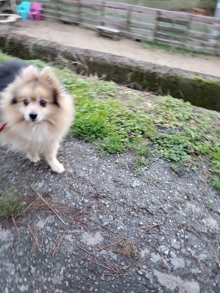 f:id:roukenhome-ann:20191227185830j:plain