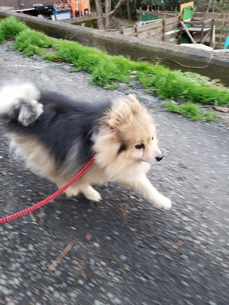 f:id:roukenhome-ann:20191227185834j:plain