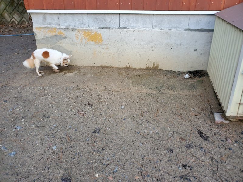 f:id:roukenhome-ann:20191227190713j:plain