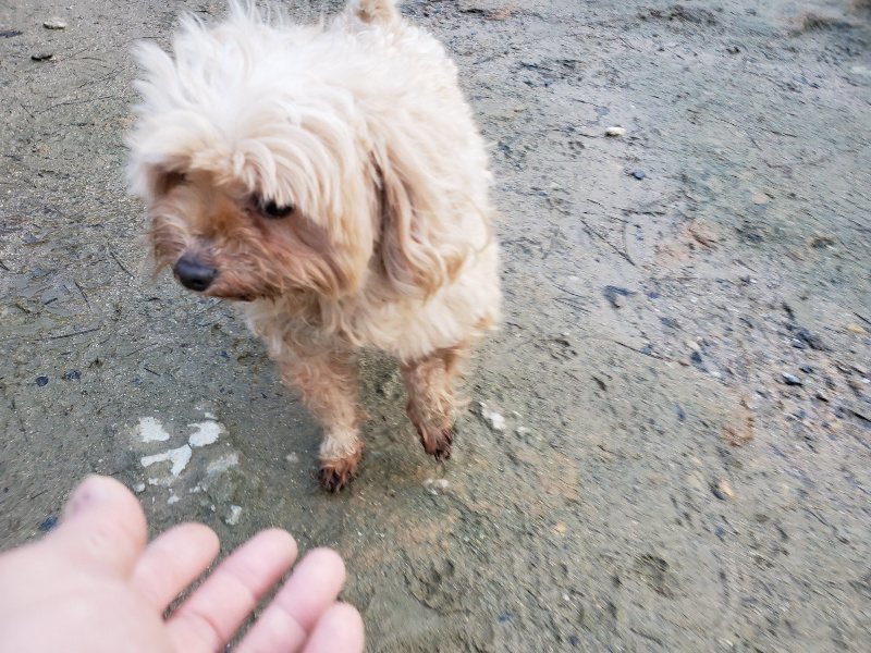 f:id:roukenhome-ann:20191227190751j:plain