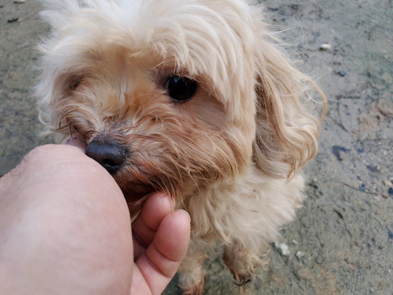 f:id:roukenhome-ann:20191227190756j:plain