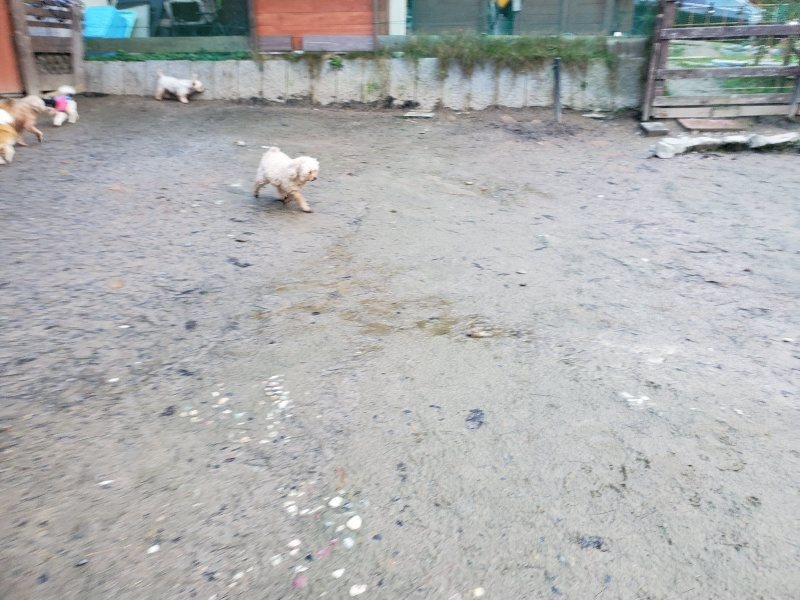 f:id:roukenhome-ann:20191227190802j:plain