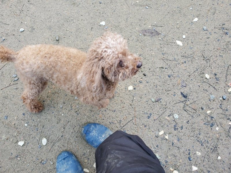 f:id:roukenhome-ann:20191227190811j:plain