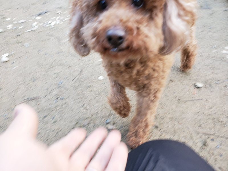 f:id:roukenhome-ann:20191227190818j:plain