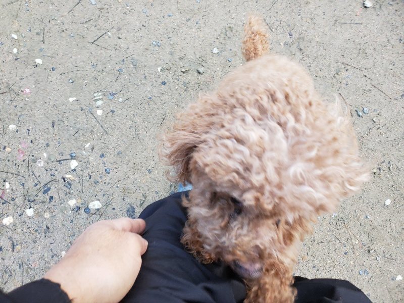 f:id:roukenhome-ann:20191227190830j:plain