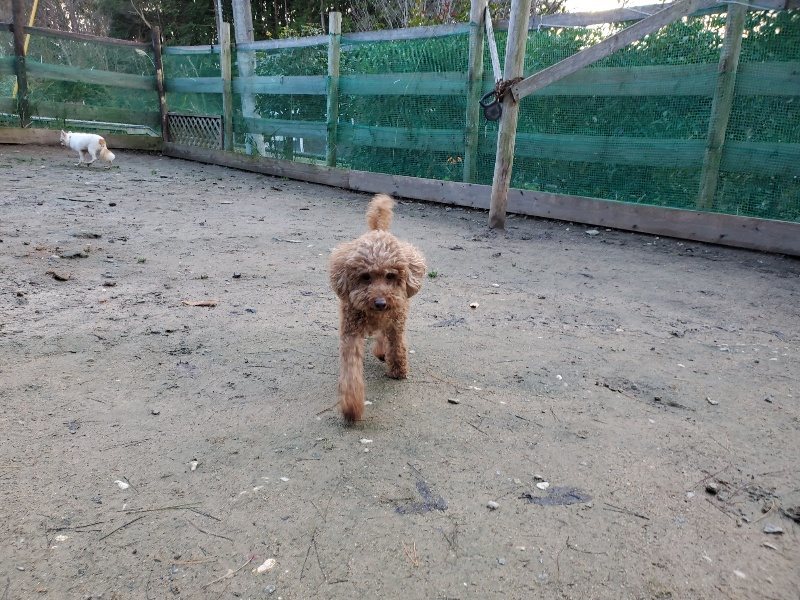 f:id:roukenhome-ann:20191227190842j:plain