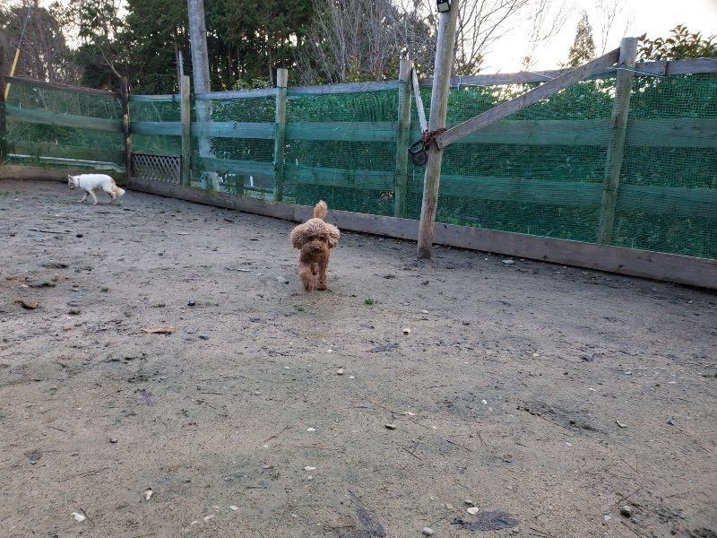 f:id:roukenhome-ann:20191227190855j:plain