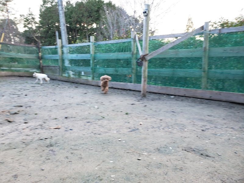 f:id:roukenhome-ann:20191227190917j:plain