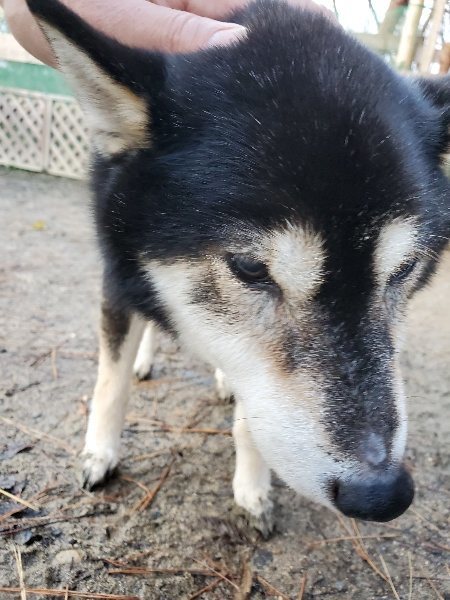 f:id:roukenhome-ann:20191227190923j:plain