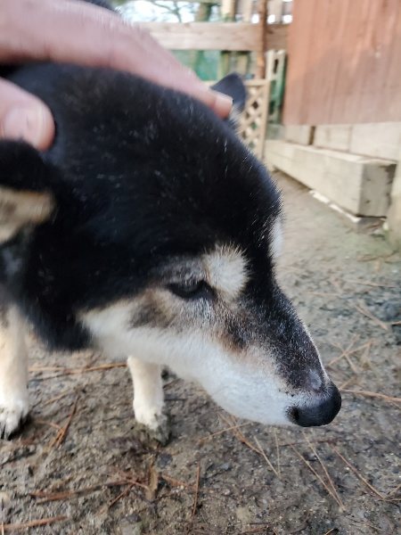 f:id:roukenhome-ann:20191227190929j:plain