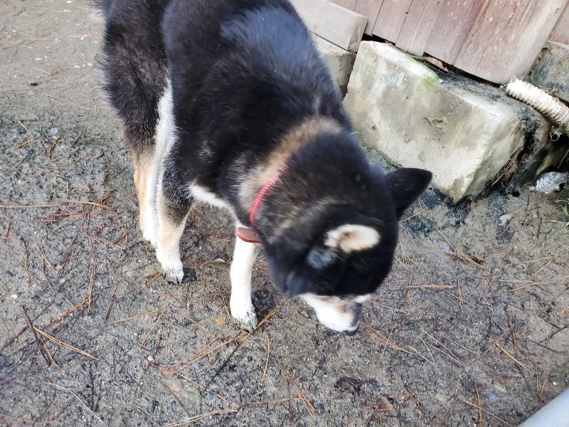 f:id:roukenhome-ann:20191227190959j:plain