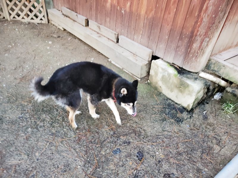 f:id:roukenhome-ann:20191227191011j:plain