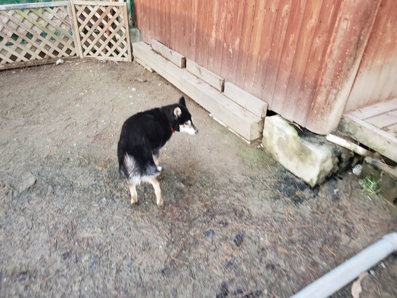 f:id:roukenhome-ann:20191227191026j:plain