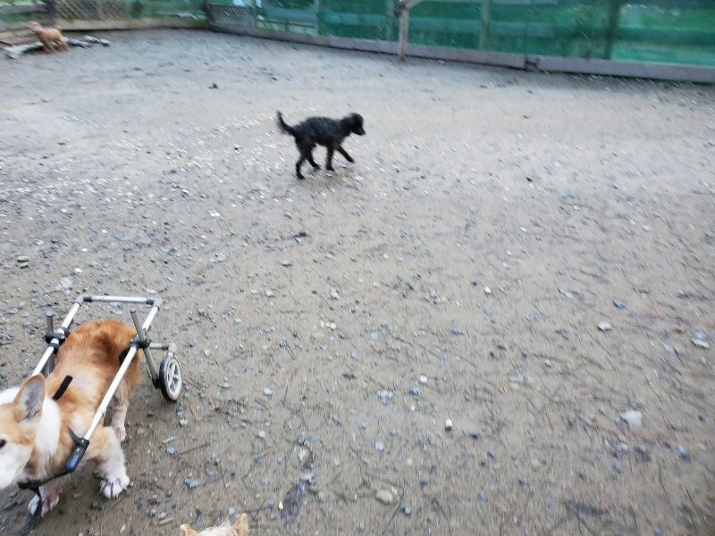 f:id:roukenhome-ann:20191227191035j:plain