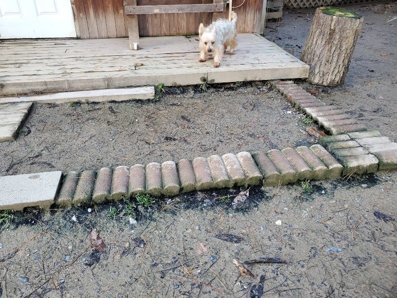 f:id:roukenhome-ann:20191227191050j:plain