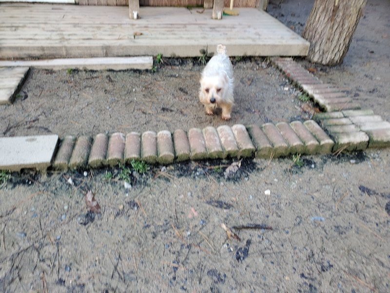 f:id:roukenhome-ann:20191227191100j:plain