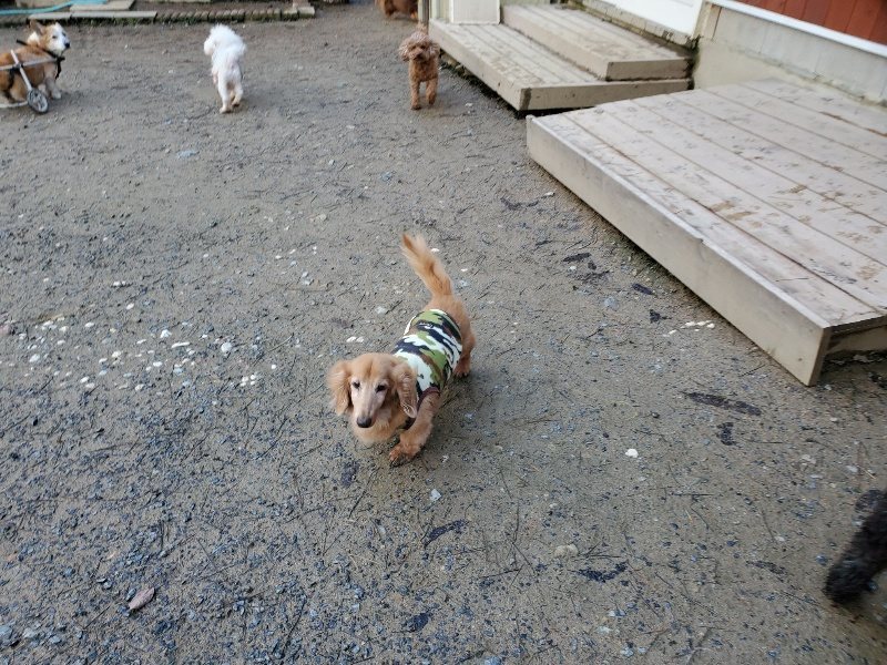 f:id:roukenhome-ann:20191227191242j:plain